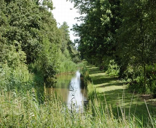Ecologisch beheerde sloot met riet- en kruidenrijke oevers langs een gemaaid graspad op sportpark Middenmeer.